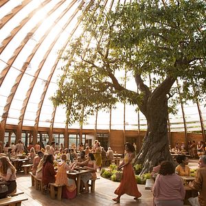 Bilder Die Bestimmung - Insurgent