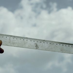 Bilder N - Der Wahn der Vernunft