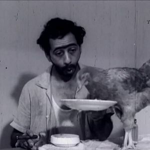 Bilder Como Vai, Vai Bem?