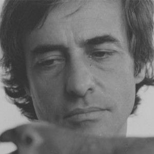 Bilder Joaquim Pedro de Andrade