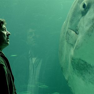 Bilder Der Mondfisch