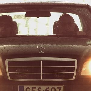 Bilder Finnisches Blut, Schwedisches Herz