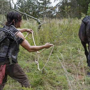 Bilder The Walking Dead