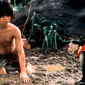 Bilder Das zweite Dschungelbuch