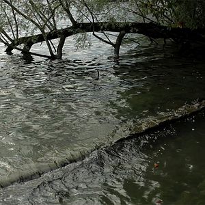 Bilder A propos de Venise