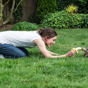 Bilder Grow Up!? - Erwachsen werd' ich später