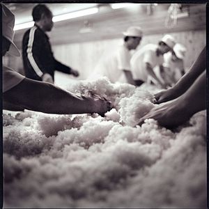 Bilder The Birth of Saké