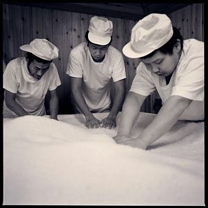 Bilder The Birth of Saké