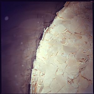 Bilder The Birth of Saké