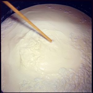 Bilder The Birth of Saké