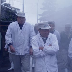 Bilder The Birth of Saké