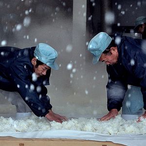 Bilder The Birth of Saké