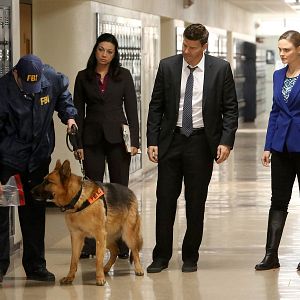 Bilder David Boreanaz