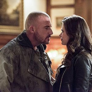 Bilder Dominic Purcell