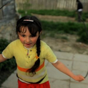 Bilder Der Wald ist wie die Berge