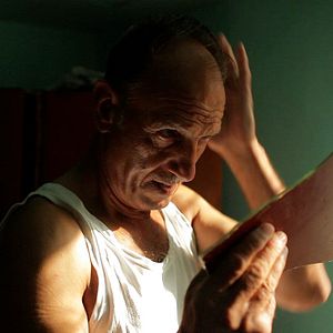 Bilder Der Wald ist wie die Berge