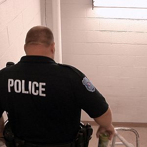 Bilder Killing Them Safely