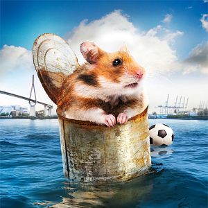 Bilder Rettet Raffi!