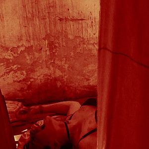 Bilder Be My Cat: A Film For Anne