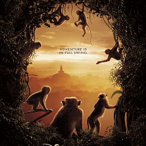 Bilder Im Reich der Affen