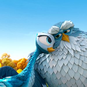 Bilder Sam O'Cool - Ein schräger Vogel hebt ab