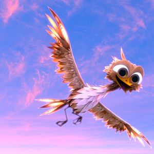 Bilder Sam O'Cool - Ein schräger Vogel hebt ab