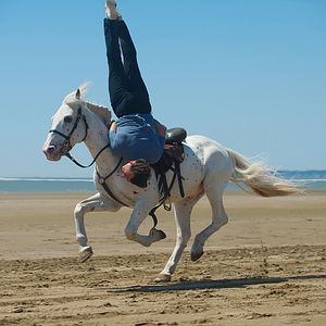 Bilder Im Gleichgewicht