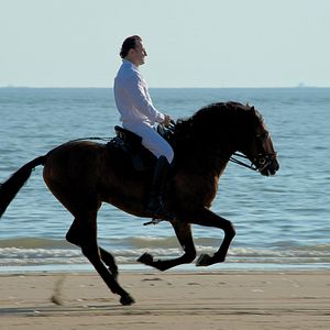 Bilder Im Gleichgewicht