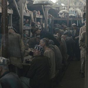 Bilder Nackt unter Wölfen