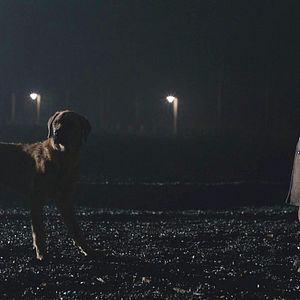 Bilder Nackt unter Wölfen