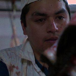 Bilder Sangre de mi sangre