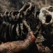 Bilder Don't Torture a Duckling