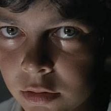 Bilder Don't Torture a Duckling