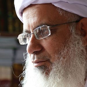 Bilder Among the Believers