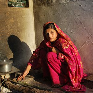 Bilder Among the Believers