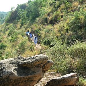 Bilder Among the Believers