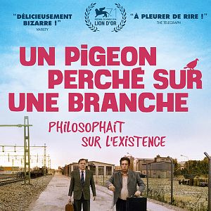 Bilder Eine Taube sitzt auf einem Zweig und denkt über das Leben nach