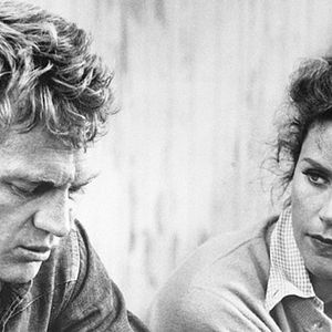 Bilder Die Lady und der Tramp