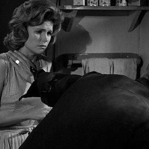 Bilder Die Lady und der Tramp