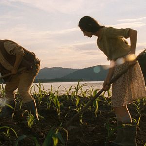 Bilder Die Maisinsel