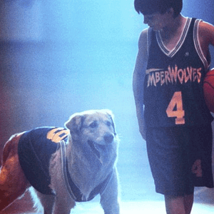 Bilder Air Bud – Champion auf 4 Pfoten