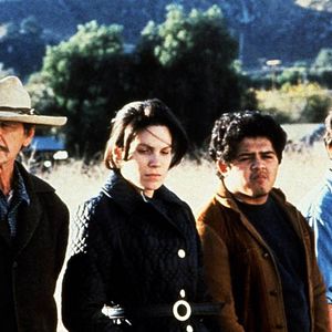 Bilder Der Grenzwolf