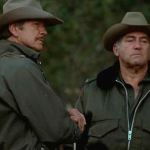 Bilder Der Grenzwolf