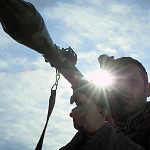 Bilder Crystal Skulls