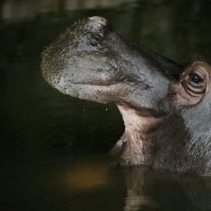 Bilder I Touched All Your Stuff