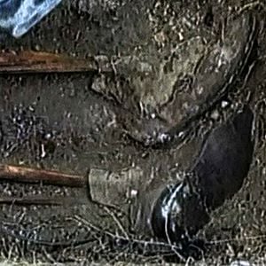 Bilder 1989 – Poker am Todeszaun