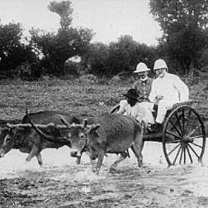 Bilder La France est Notre Patrie