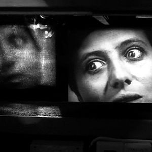 Bilder Llamas de Nitrato