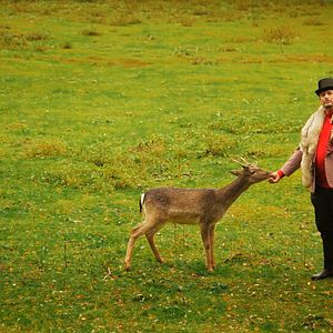 Bilder Peter Trabner