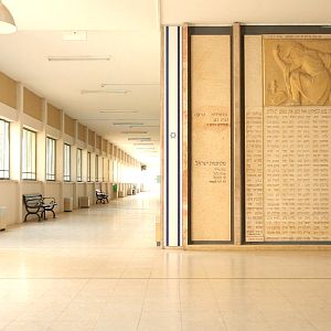 Bilder This Is My Land